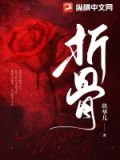 折骨txt