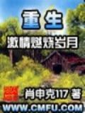 重生之激情燃烧岁月下载