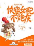 男神攻略女配不炮灰txt