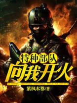 特种部队向我开火 小说
