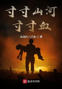 寸寸山河寸寸血全文免费