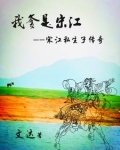 我是宋江什么意思